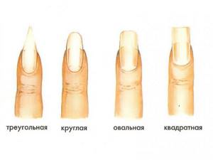 Базовые формы ногтей.