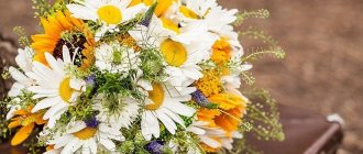 Bouquet of daisies