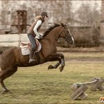 Фотосессия с лошадьми