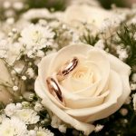 Кедровая годовщина свадьбы – 49 лет совместной жизни