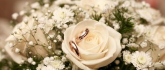 Cedar wedding anniversary - 49 years of marriage
