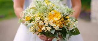 Beautiful bouquets of wildflowers with your own hands. Photo