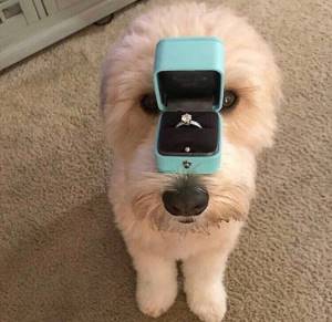 Ring selfie: как красиво рассказать о помолвке