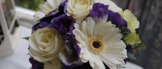 Сочетание белого и фиолетового