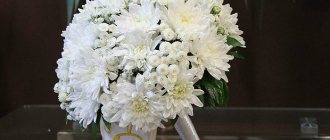 Свадебный букет из хризантем 2